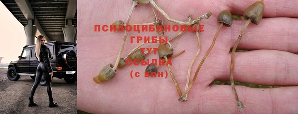 a pvp Пестово