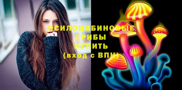 герыч Переславль-Залесский
