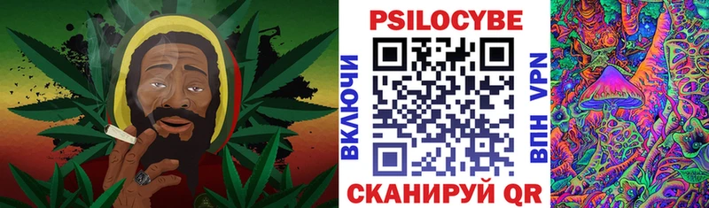 Псилоцибиновые грибы GOLDEN TEACHER  продажа наркотиков  Курчатов 